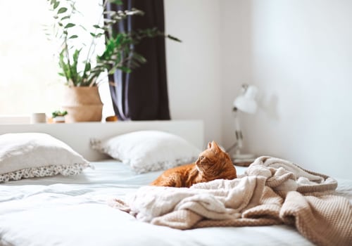 The Benefits of Air Purifiers for Pet Dander Relief